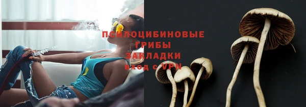 мескалин Арсеньев